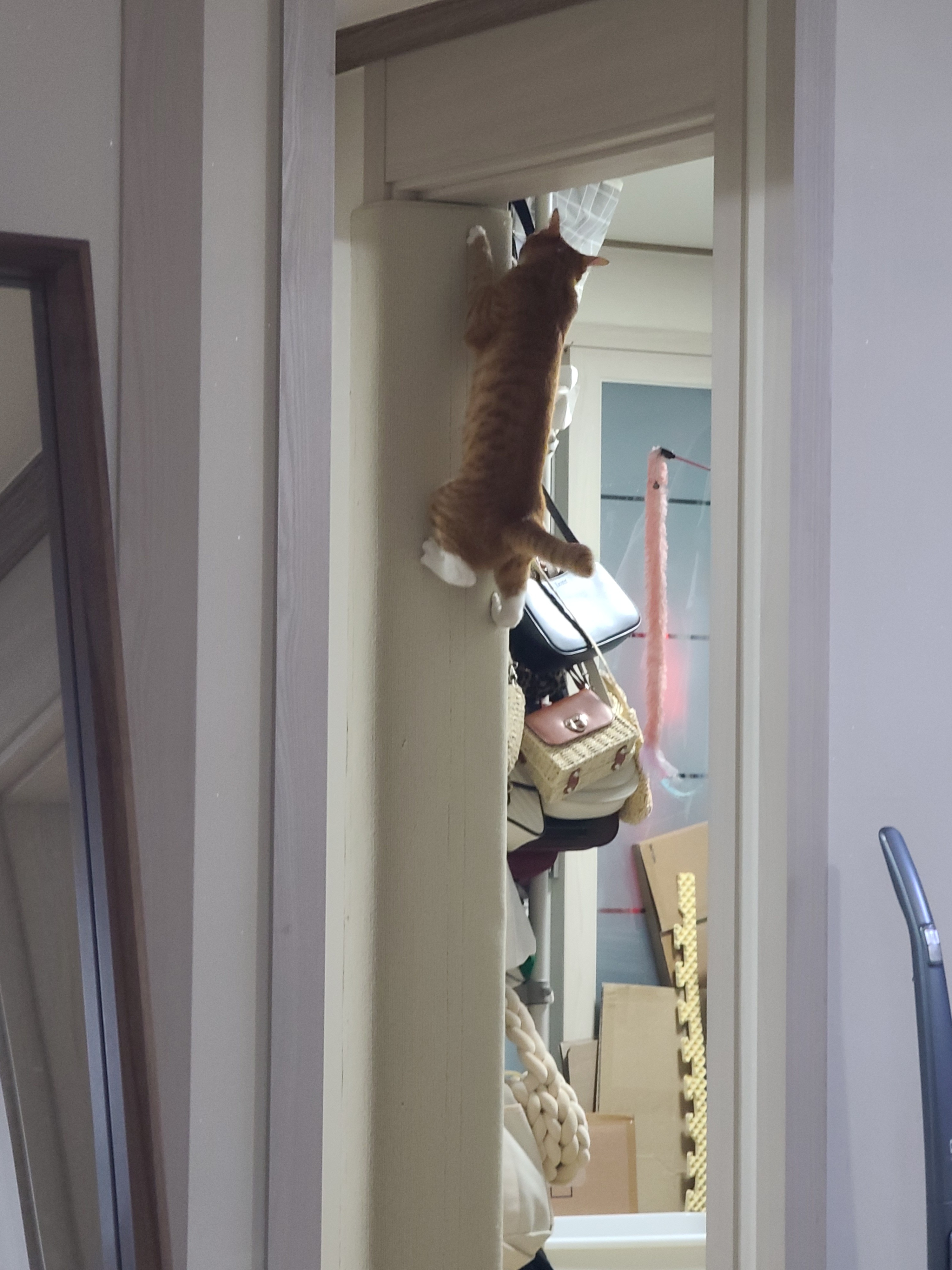 가... | 인스티즈