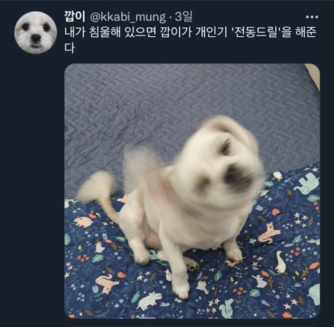 내가 침울해 하고 있으면 -가 -해준다 .twt | 인스티즈