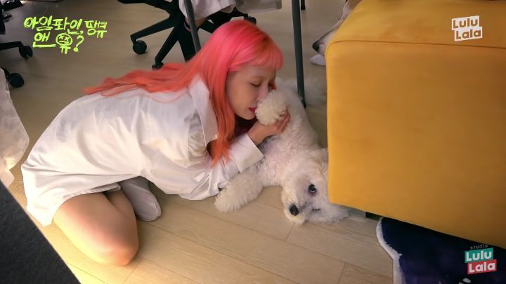 강아지 발꼬순내 좋아하는 현아.jpg | 인스티즈