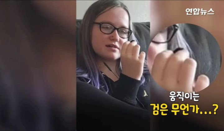 구해준사람 껌딱지 된 호박벌.jpg | 인스티즈