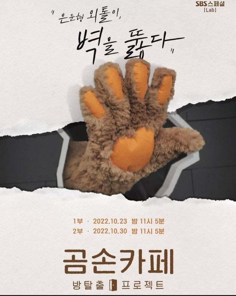 곰손카페 이미지