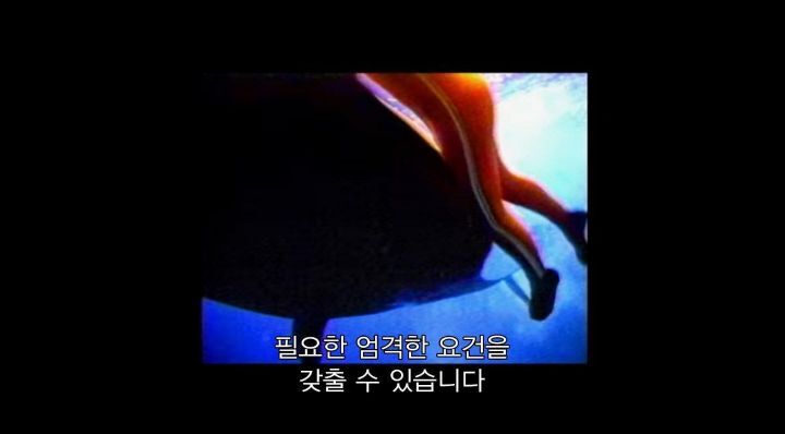 어느날 소방서에 고래가 조련사를 잡아 먹었다는 신고가 들어왔다 .jpg (스압주의) | 인스티즈