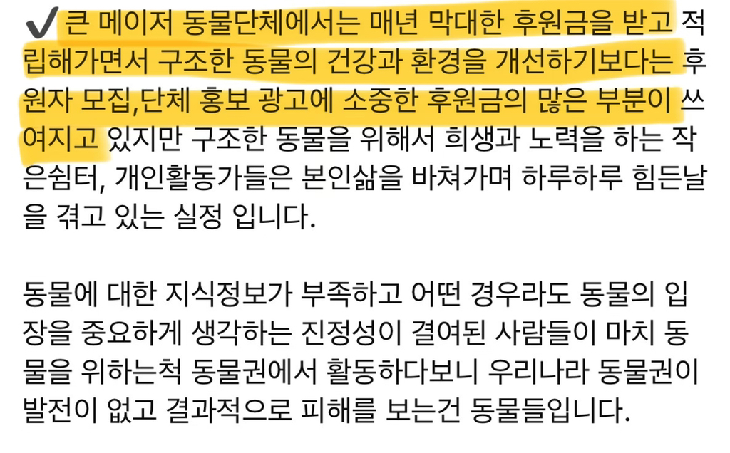 동물 구조(보호소) 경계해야함 / 고양이학교의 처참함 | 인스티즈