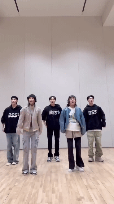 뉴진스 팜하니&해린 -부석순 파이팅 챌린지 | 인스티즈