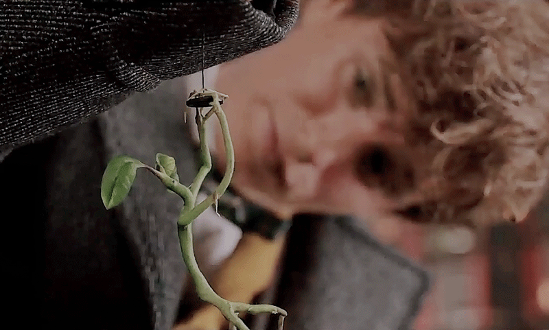 후플푸프 덕후들이 후플푸프를 좋아하는 이유.jpgif | 인스티즈