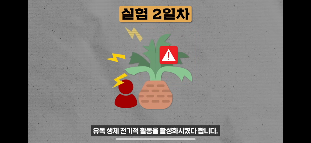 역대급 대충격이였던 식물실험 | 인스티즈