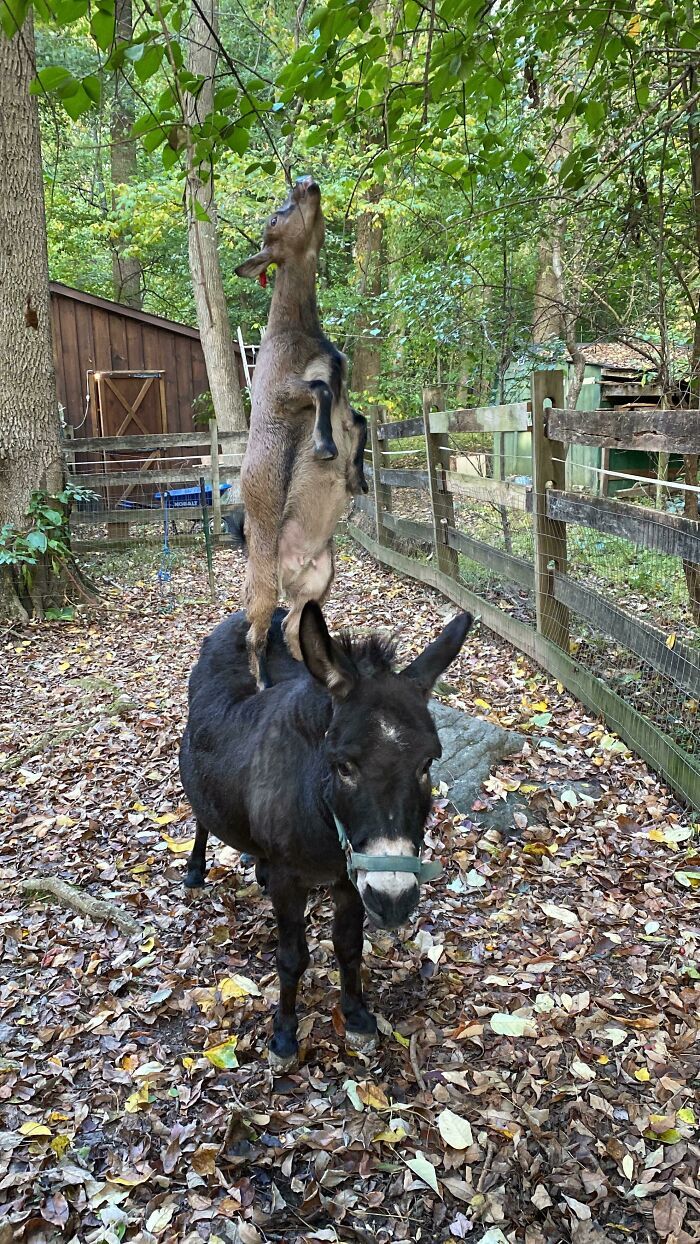 천 마디 말보다 가치 있는 사진들 모음 | 인스티즈