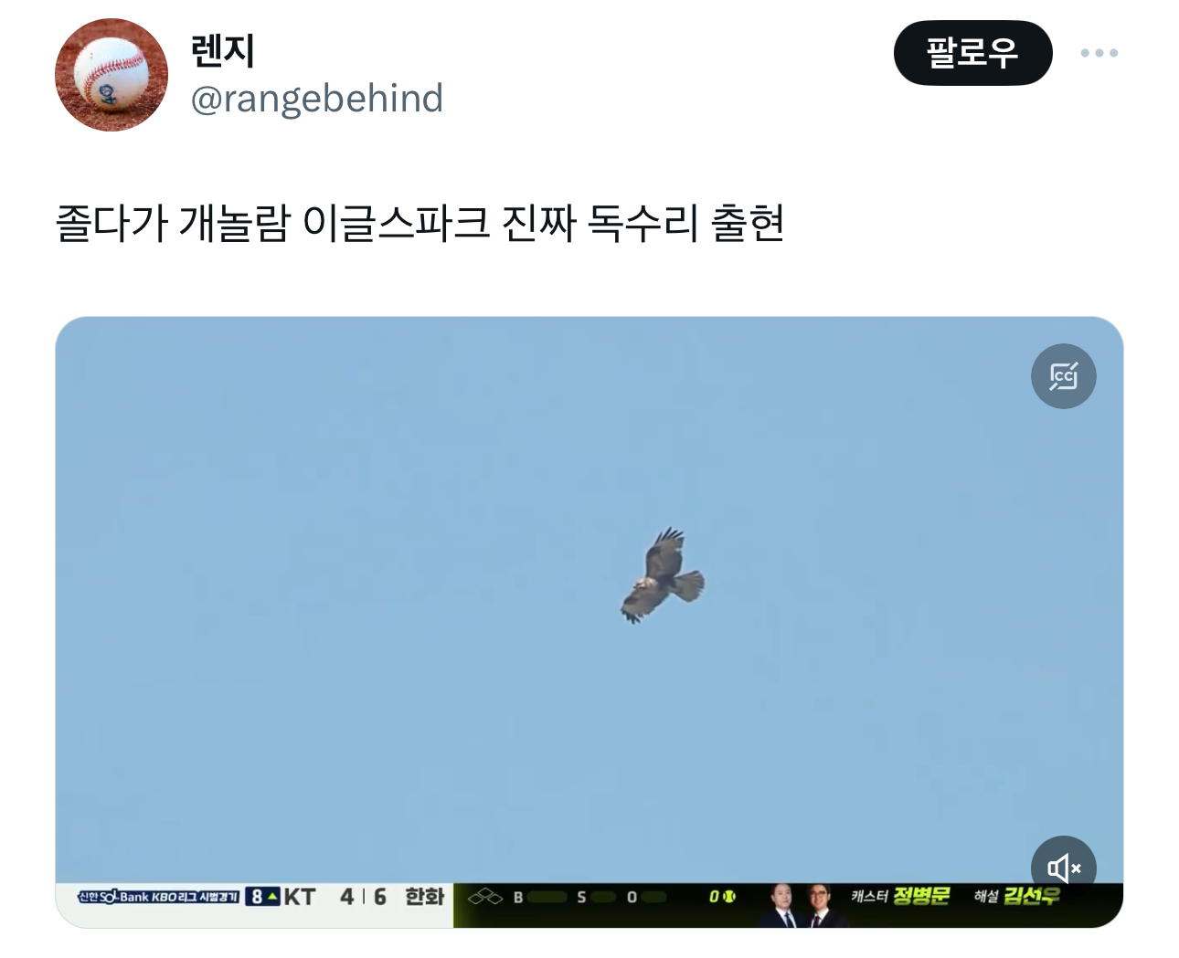 졸다가 개놀람 이글스파크 진짜 독수리 출현 | 인스티즈