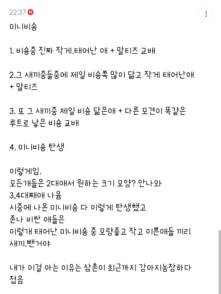 미니비숑 만드는 방법 | 인스티즈