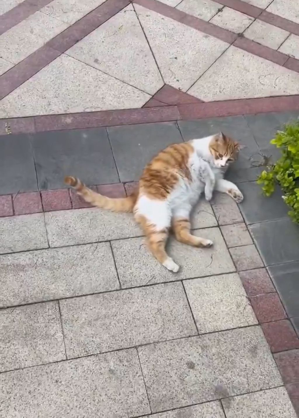 내 인생의 곤란함은 이런 것만 있었으면 좋겠다 | 인스티즈