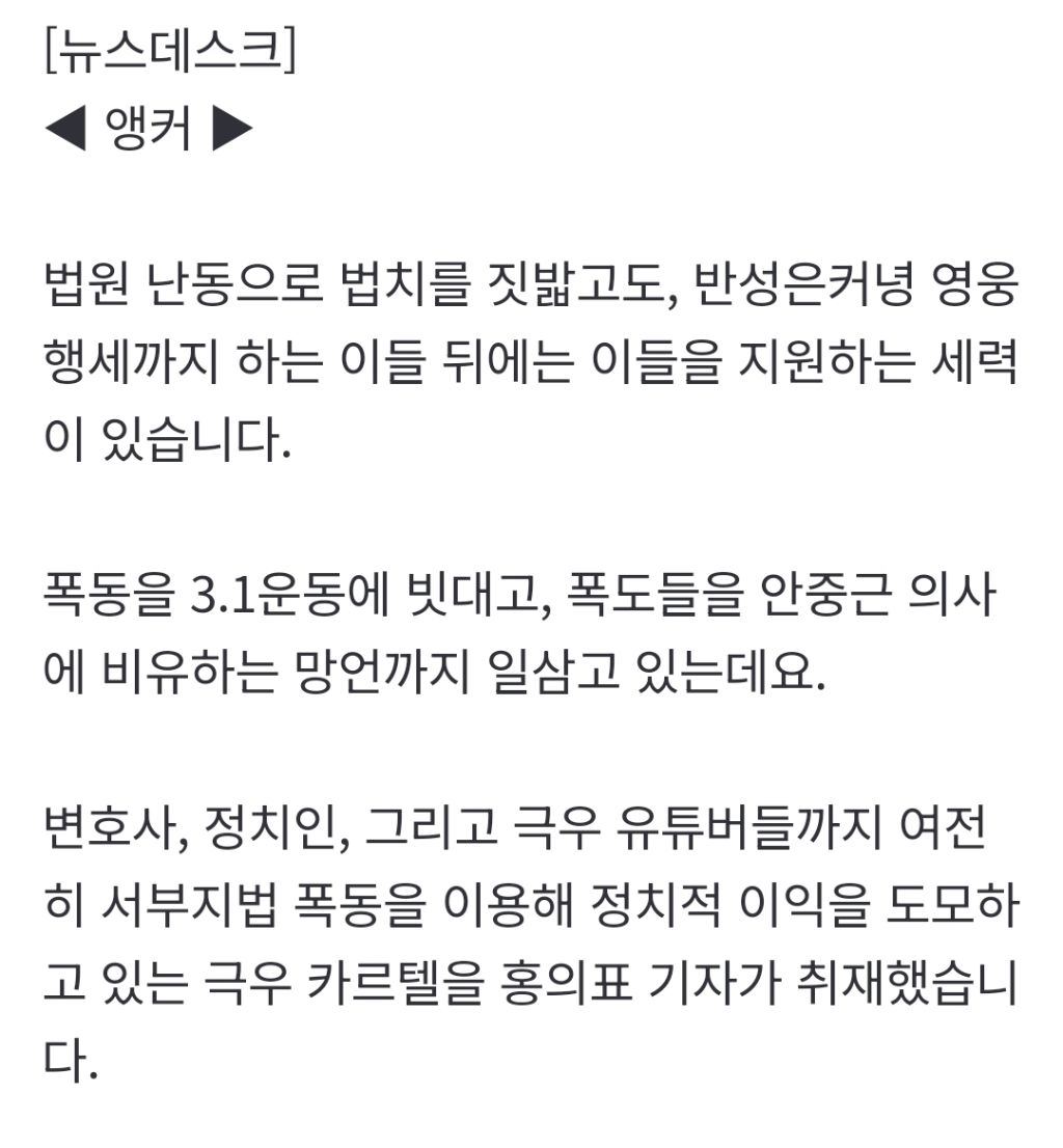 풀려나서 극우들 사이에서 영웅놀이 하고 있는 서부지법 폭동자들 | 인스티즈