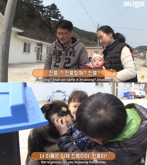 섬마을 남매가 강아지를 환영하는 완벽한 방법 | 인스티즈