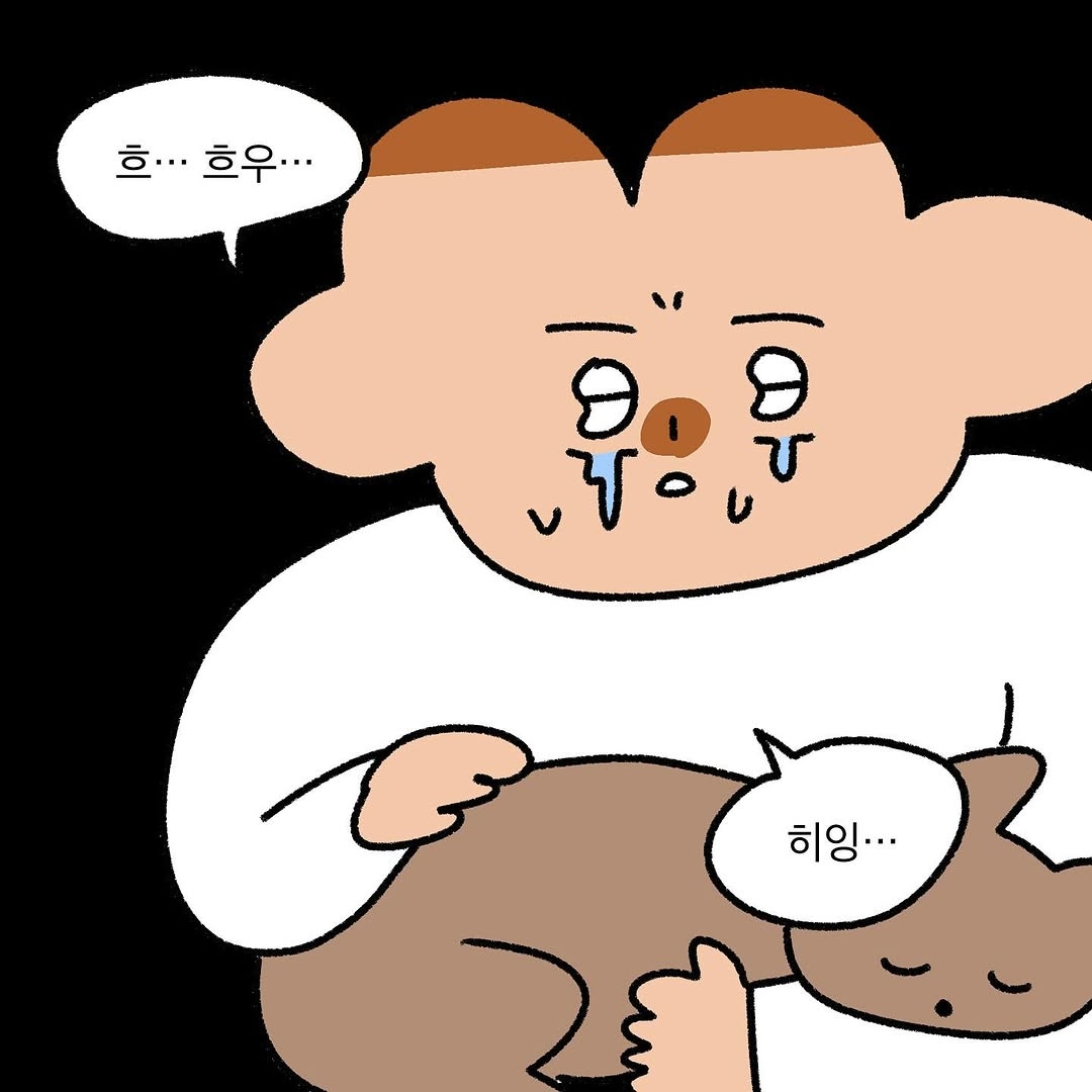 반려동물을 떠나보낸 사람이라면 공감할 인스타툰 | 인스티즈
