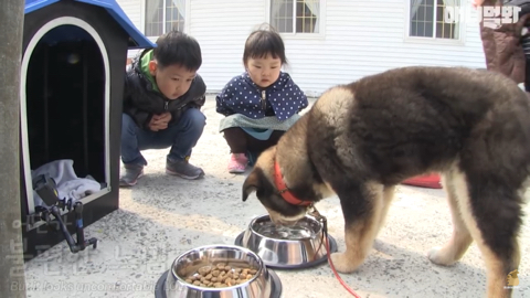 섬마을 남매가 강아지를 환영하는 완벽한 방법 | 인스티즈
