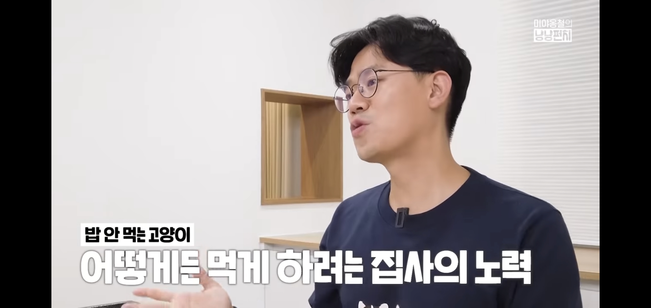 고양이 분리불안을 만드는 집사의 5가지 행동.jpg | 인스티즈