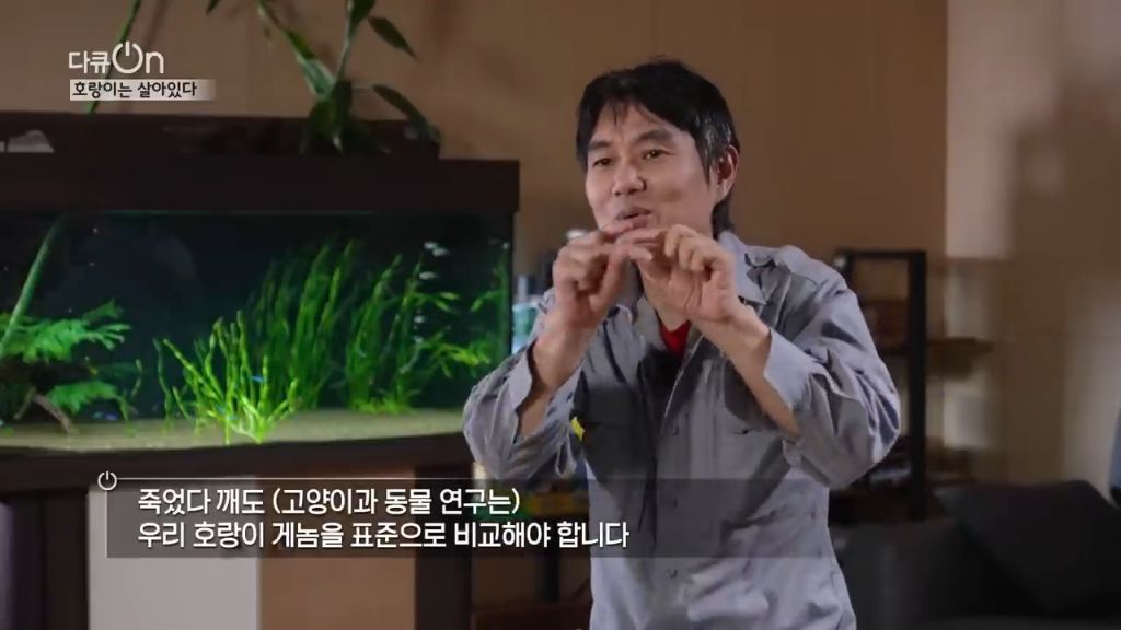 '절멸'의 '한국 호랑이'. 🐅 그 100년간의 이야기. -마지막- | 인스티즈