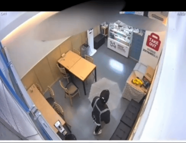 매장에 엄청 큰 벌레가 들어왔는데 직원들 반응이 너무 귀여움 | 인스티즈