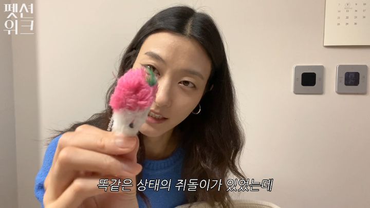 집사들 고양이 장난감 왤케 많이 사는거야 | 인스티즈