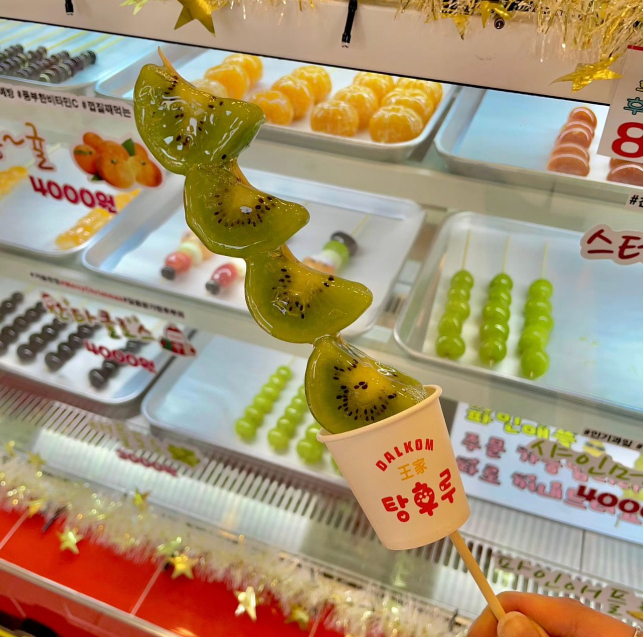 왕가탕후루에 키위 탕후루 새로 나옴 - 악플달면 쩌리쩌려버려 - ＊여성시대＊ 차분한 20대들의 알흠다운 공간 왕가탕후루에 키위 탕후루 새로 나옴