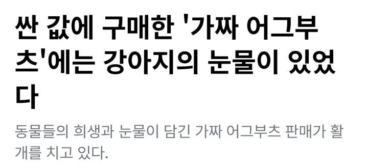 일부 사람들이 어그부츠 안 신는 이유 | 인스티즈