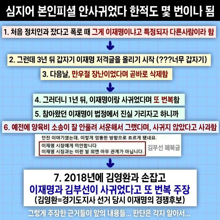 이재명 김부선 팩트 검증 | 인스티즈