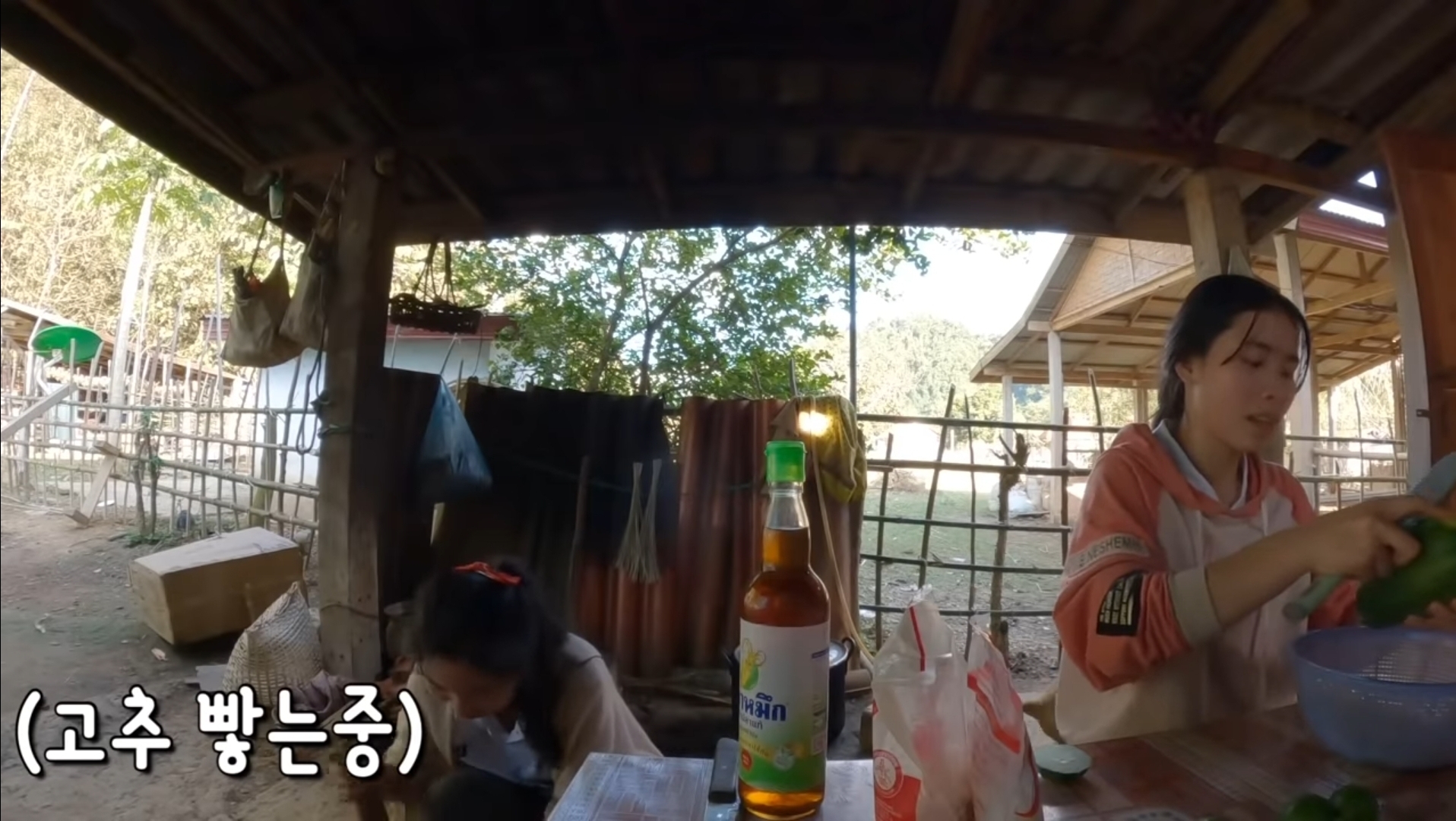 라오스 시골 고3 브이로그 | 인스티즈