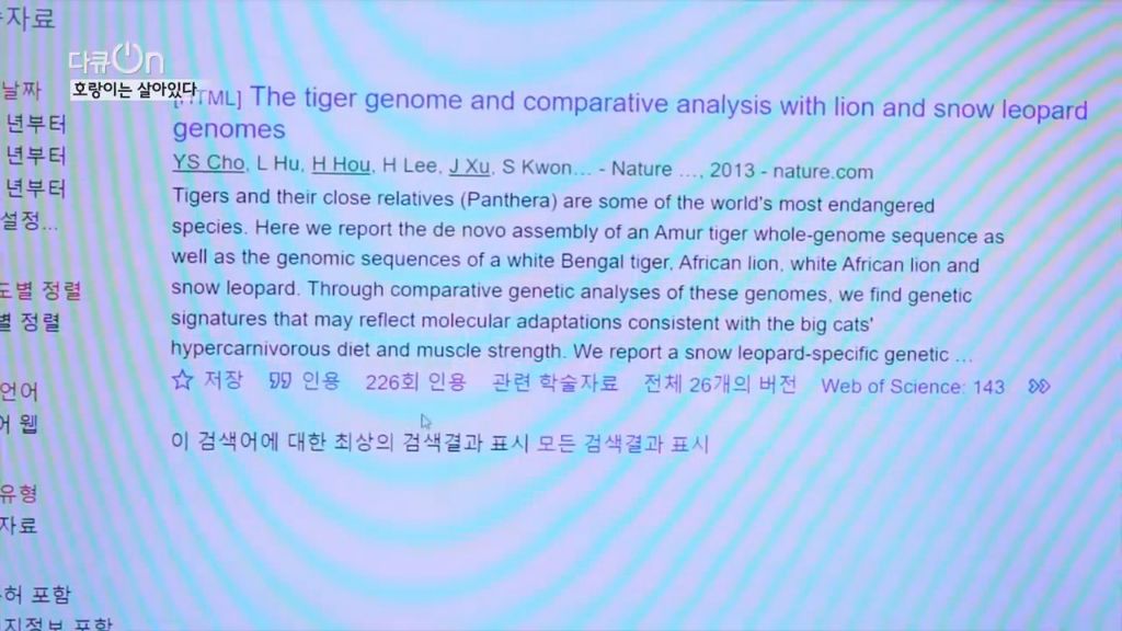 '절멸'의 '한국 호랑이'. 🐅 그 100년간의 이야기. -마지막- | 인스티즈