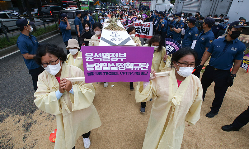 현재 퇴진 시위에서 상여 퍼포먼스 준비 중이라는 제일 파괴력이 쎄다는 노조.jpg | 인스티즈