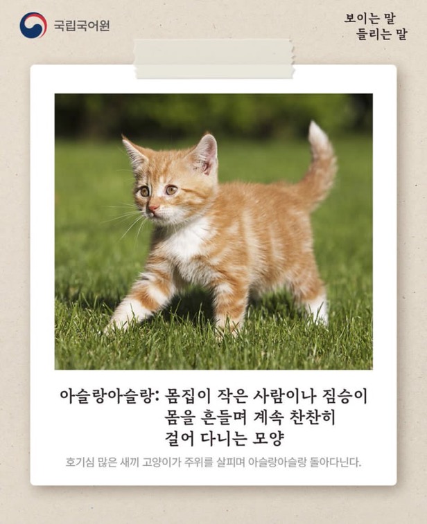 수달은 새끼를 낳으면 이곳저곳 돌아다니며 자랑하는 습성이 있습니다 | 인스티즈