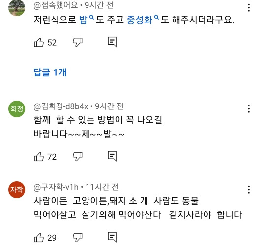 예전과 달라진 길고양이 급식소 겨울집 여론 | 인스티즈