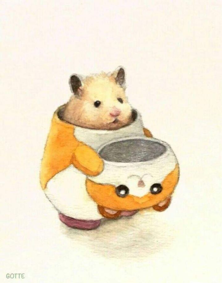 햄찌가 사람처럼 살면 벌어지는 일상들.jpg | 인스티즈