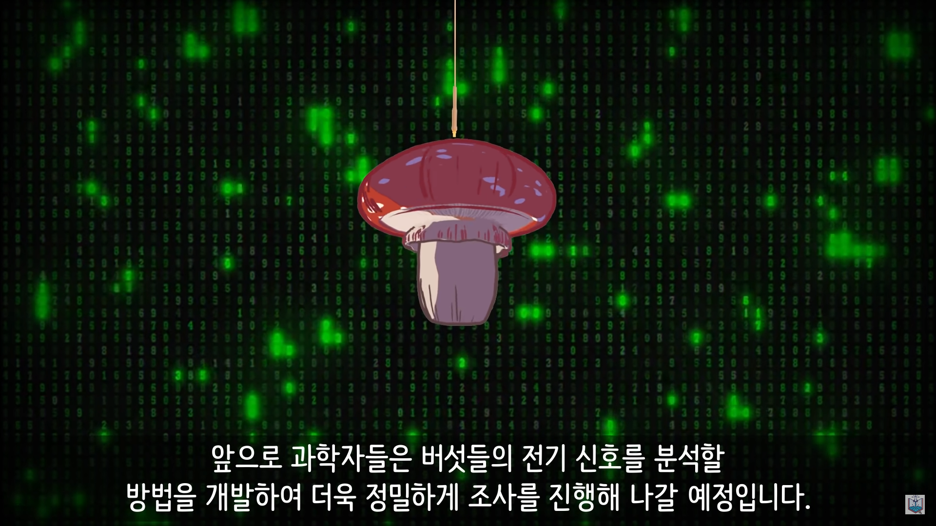 버섯이 단어와 문장을 사용해 서로 대화하고 있을지도 모른다고? | 인스티즈