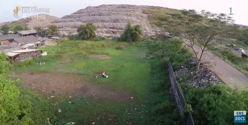 자극적 영상이 많아진 요즘, 안보면 후회하는 글 | 인스티즈