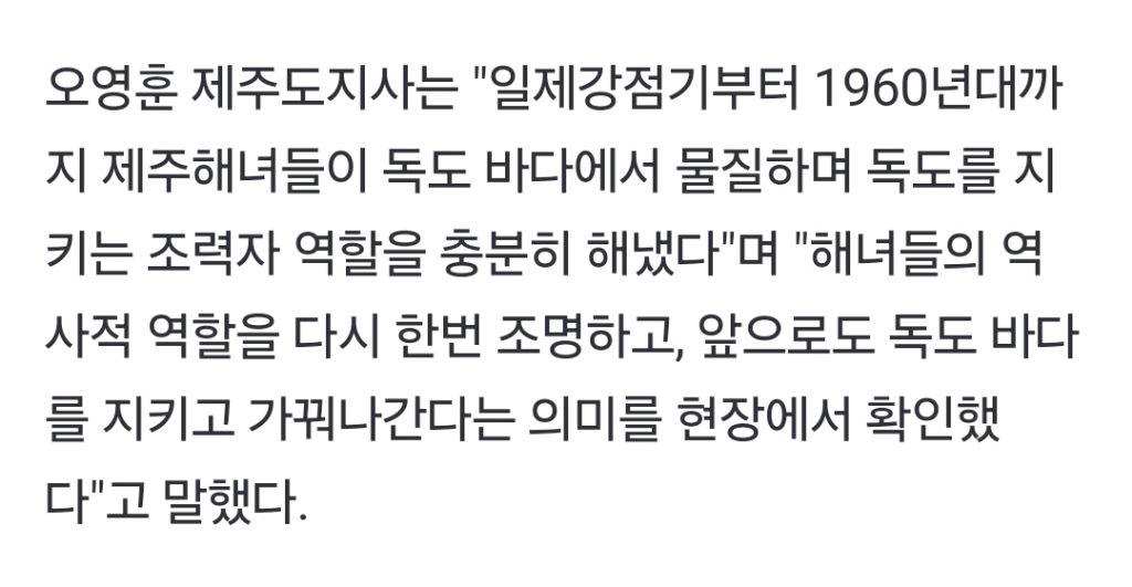 '독도 바다에 대형 태극기'…제주·울릉 해녀 광복 80주년 행사 | 인스티즈