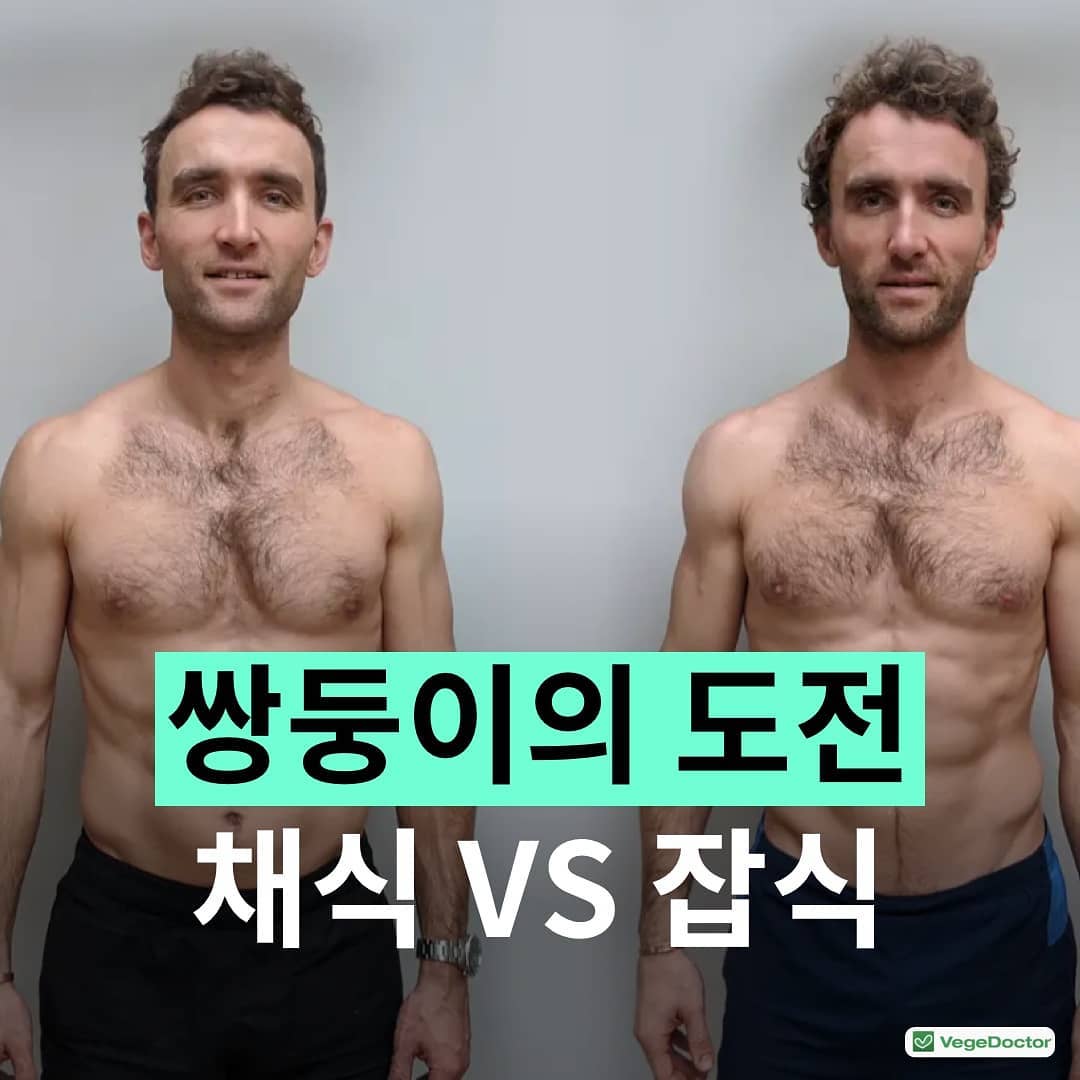 쌍둥이가 채식 vs 잡식으로 12주를 보낸다면? | 인스티즈