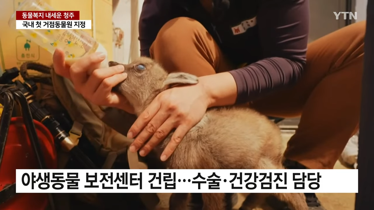 동물복지 내세우면서 관람객이 50% 증가한 청주 동물원 | 인스티즈