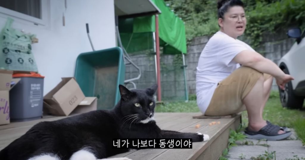신발 물어 뜯은 고양이 찾아간 이영자 | 인스티즈