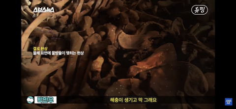 유골로 보석 만드는 메모리스톤 어떻게 생각하는지 말해보는 달글 | 인스티즈