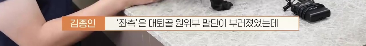 교통사고난 유기견 입양한 설채현 수의사 그리고 윙크 근황😉 | 인스티즈