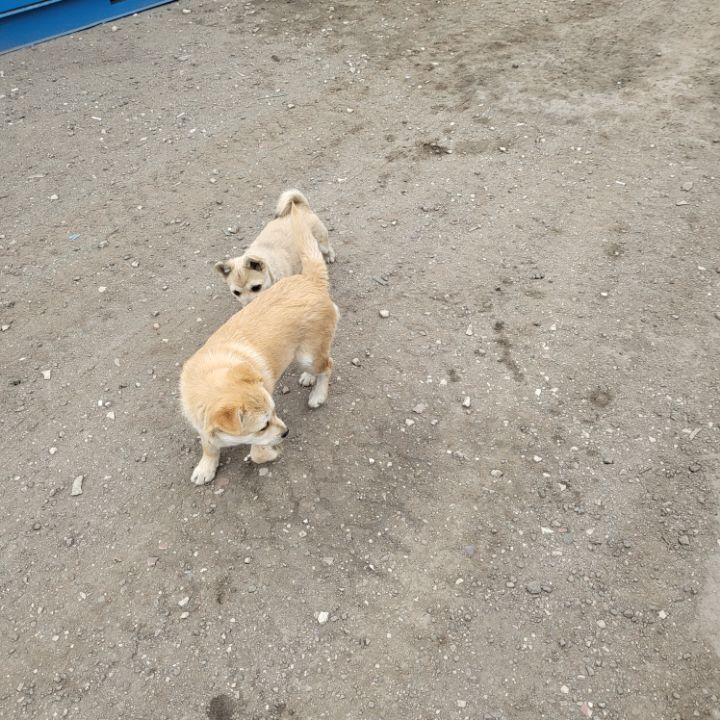 (공지라니... ++추가)새로생긴 회사 복지.. 미쳐서 도저히 일을 못하겠네.. (추가....)++추가 | 인스티즈