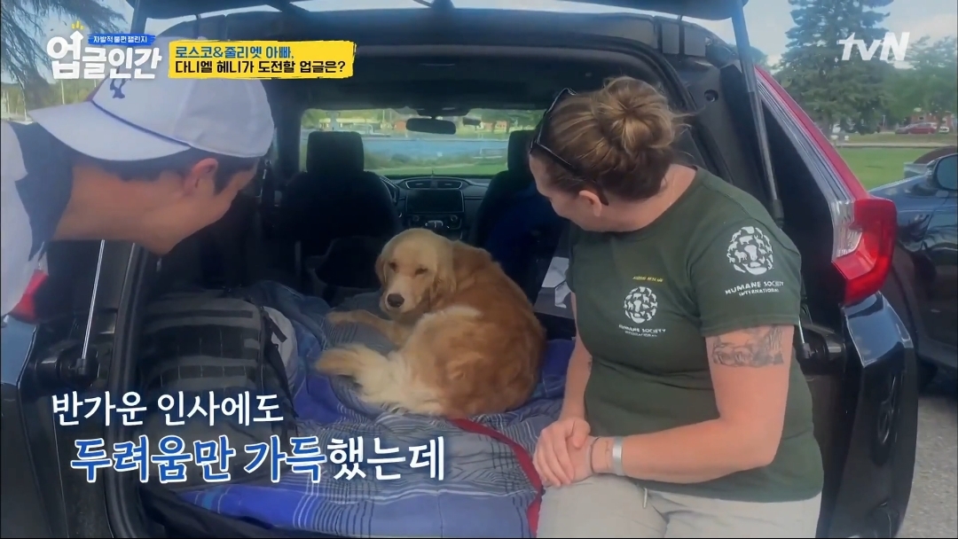 식용견 농장에서 구출된 다니엘 헤니의 강아지 로스코, 줄리엣 | 인스티즈