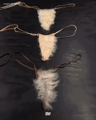 방금 공개된 킴카다시안 브랜드 skims 신상 팬티 The Ultimate Bush | 인스티즈