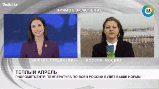 강아지 때문에 발생한 방송 사고.gif | 인스티즈