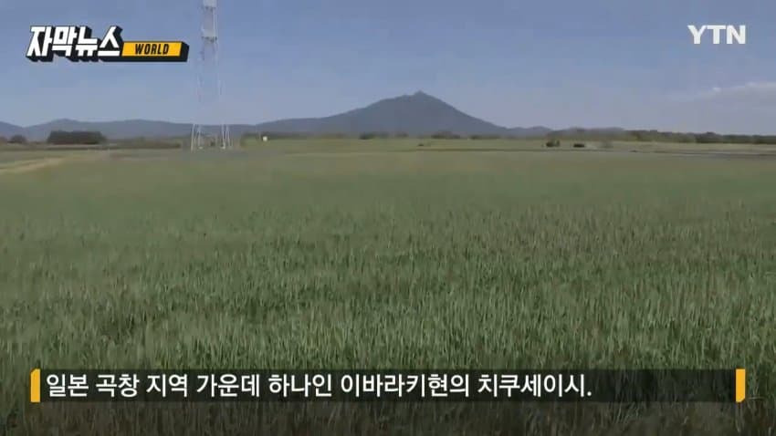 처참히 추락한 일본 민도 수준 쌀값 치솟자 벌어진 기현상 | 인스티즈
