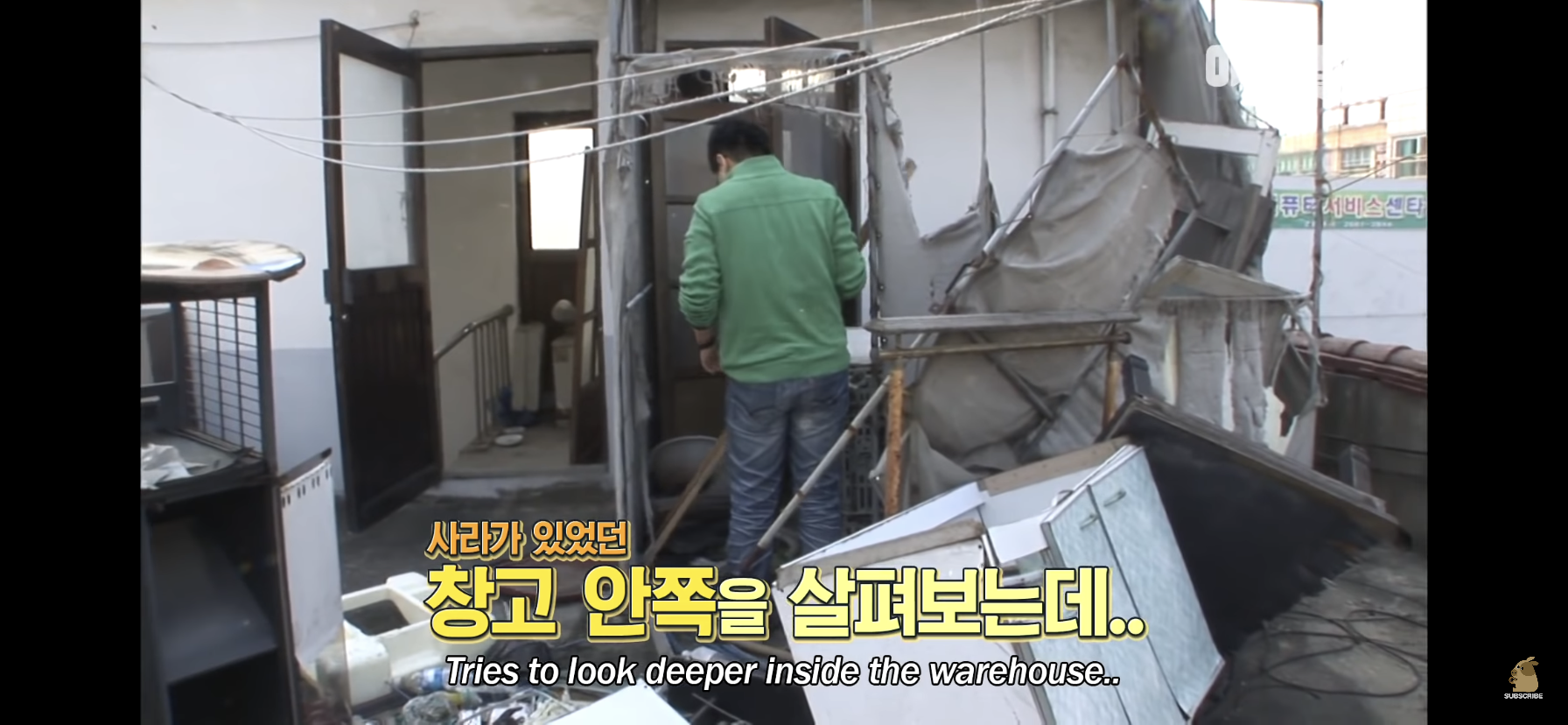 길고양이 목에 쪽지를 달자 생긴 영화같은 일 | 인스티즈