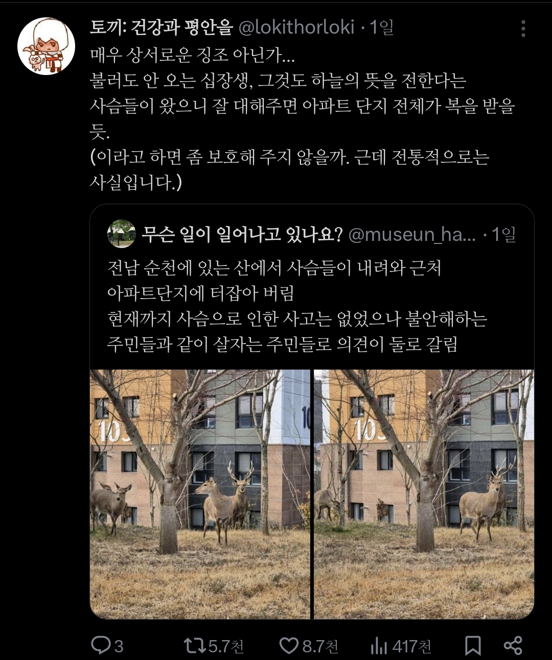거의 사슴의 지상낙원 됐다는 전남 순천시.jpg | 인스티즈