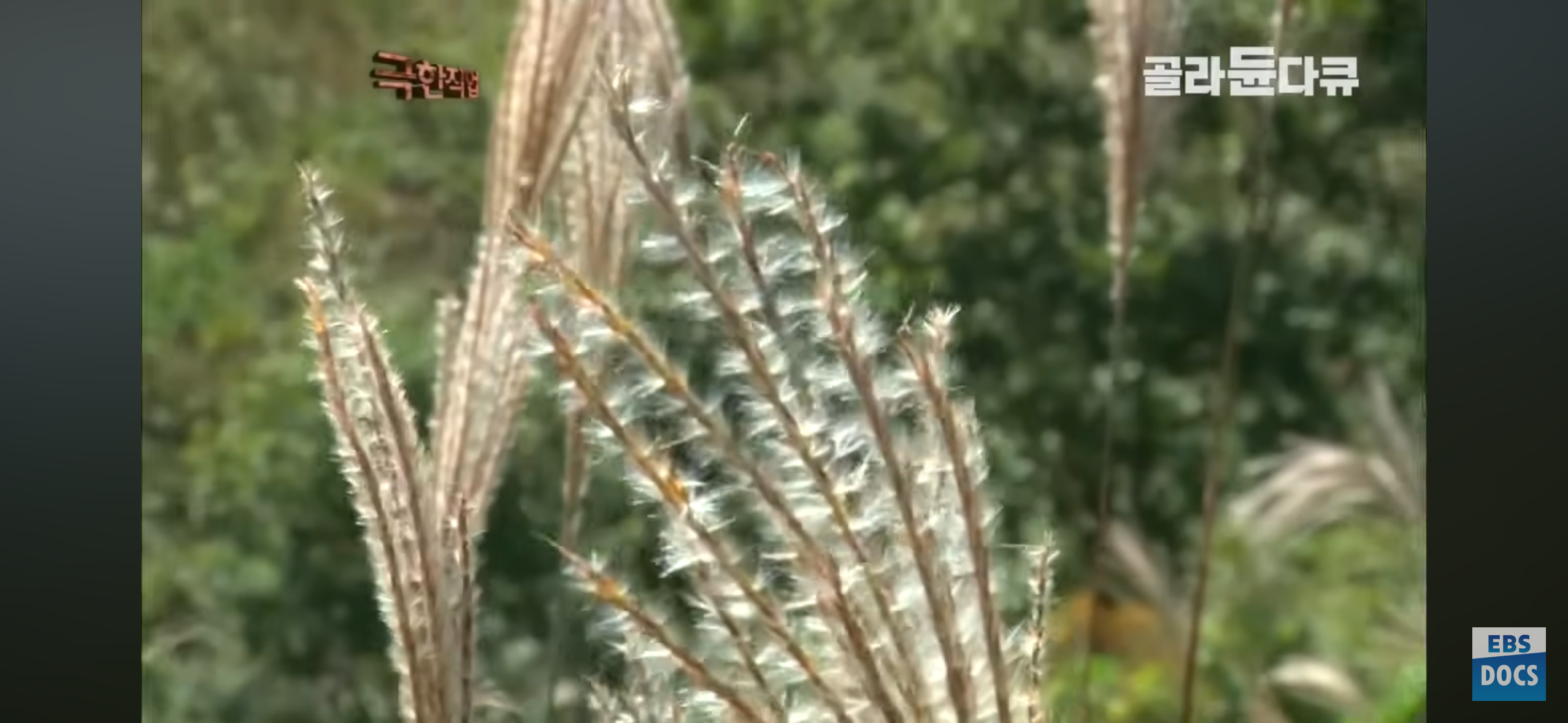 등산로, 어떻게 만들까?.jpg | 인스티즈