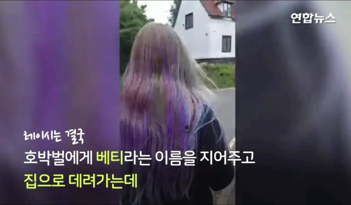 구해준사람 껌딱지 된 호박벌.jpg | 인스티즈