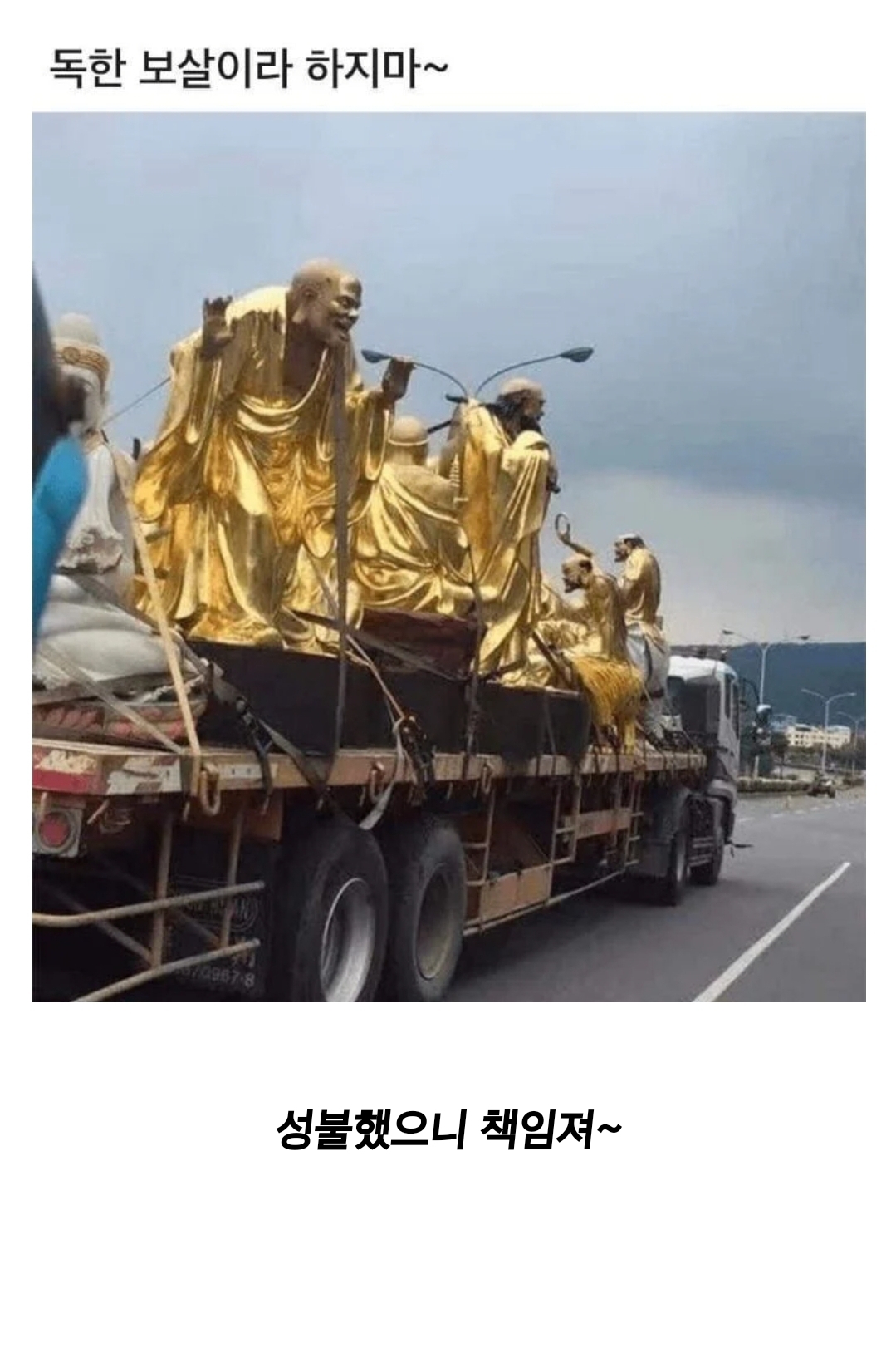 독한 보살이라 하지마 | 인스티즈