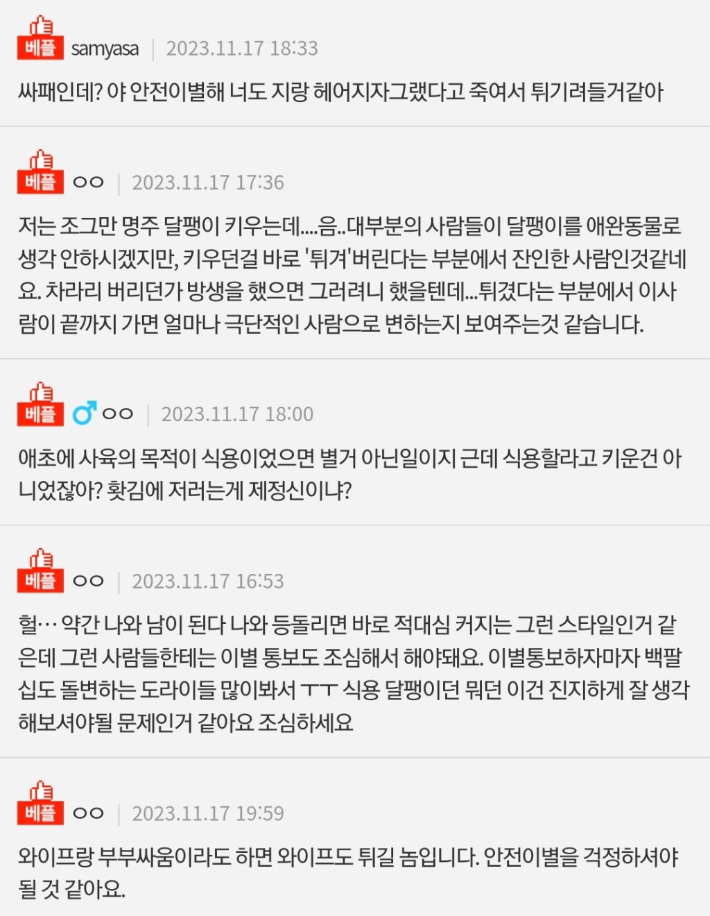 [네이트판] 예랑이 키우던 달팽이를 튀겼어요 | 인스티즈